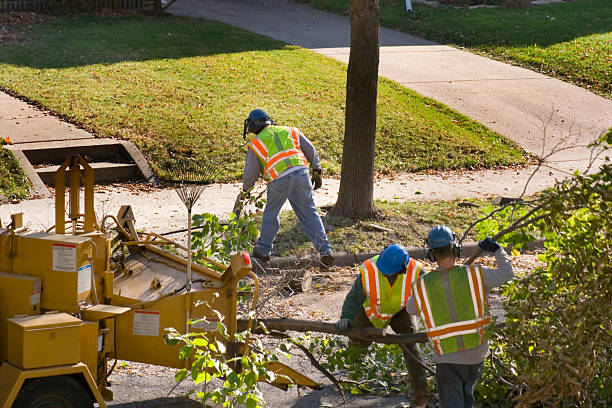 Soil Testing and Treatment in Bay City, MI